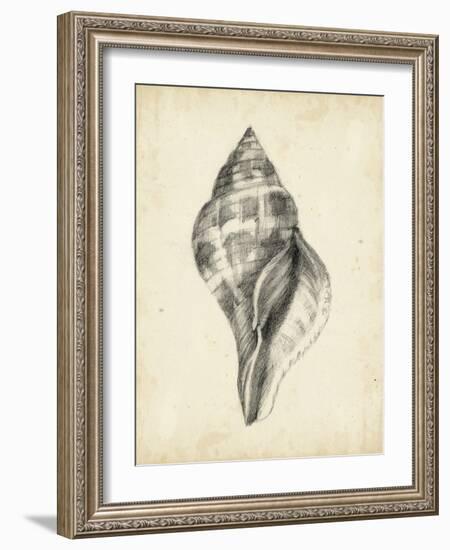 Antique Shell Study II-Ethan Harper-Framed Art Print