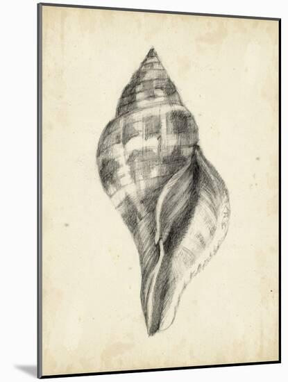 Antique Shell Study II-Ethan Harper-Mounted Art Print