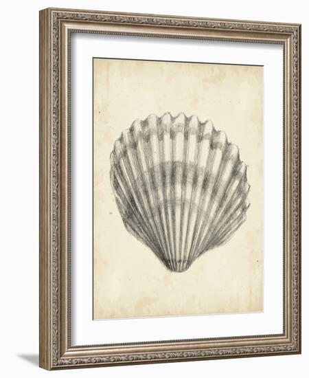 Antique Shell Study III-Ethan Harper-Framed Art Print