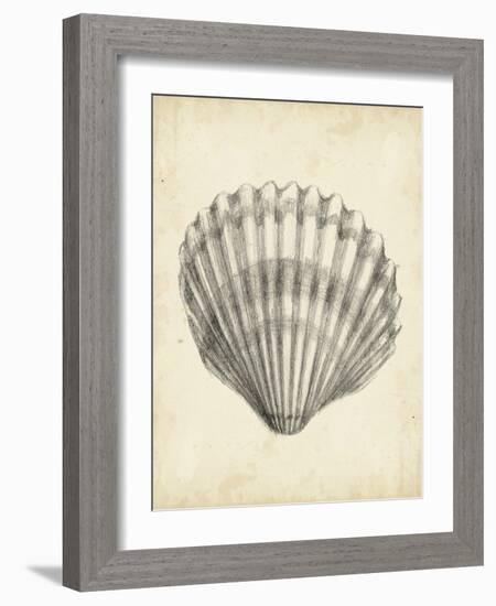 Antique Shell Study III-Ethan Harper-Framed Art Print