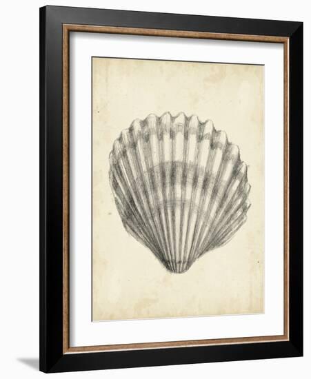 Antique Shell Study III-Ethan Harper-Framed Art Print