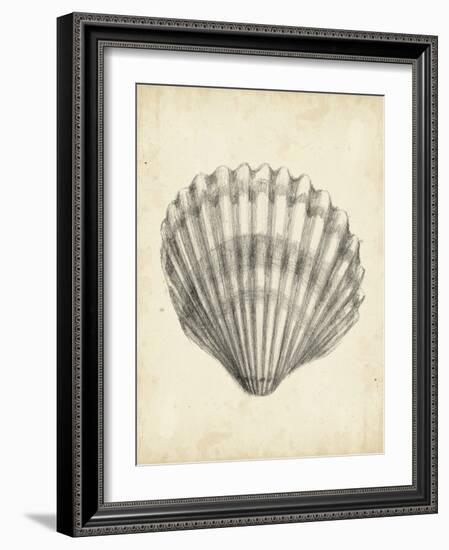 Antique Shell Study III-Ethan Harper-Framed Art Print