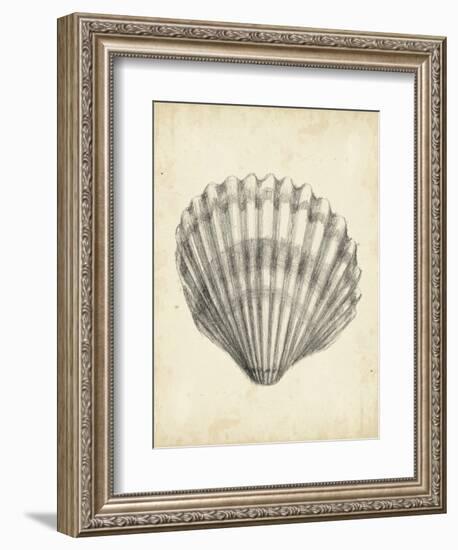 Antique Shell Study III-Ethan Harper-Framed Art Print