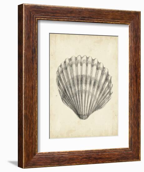 Antique Shell Study III-Ethan Harper-Framed Art Print