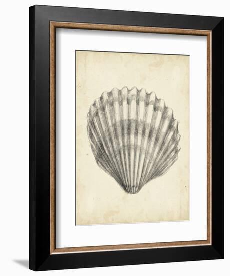 Antique Shell Study III-Ethan Harper-Framed Art Print