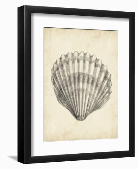 Antique Shell Study III-Ethan Harper-Framed Art Print