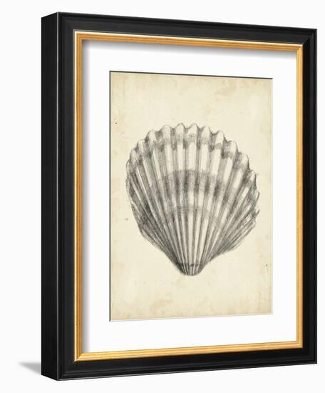 Antique Shell Study III-Ethan Harper-Framed Art Print