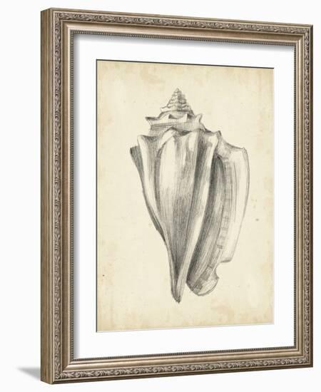 Antique Shell Study IV-Ethan Harper-Framed Art Print