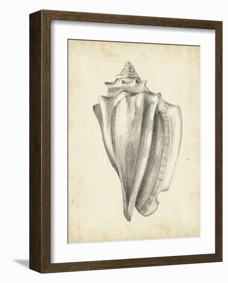 Antique Shell Study IV-Ethan Harper-Framed Art Print