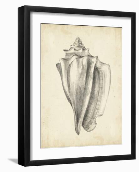 Antique Shell Study IV-Ethan Harper-Framed Art Print