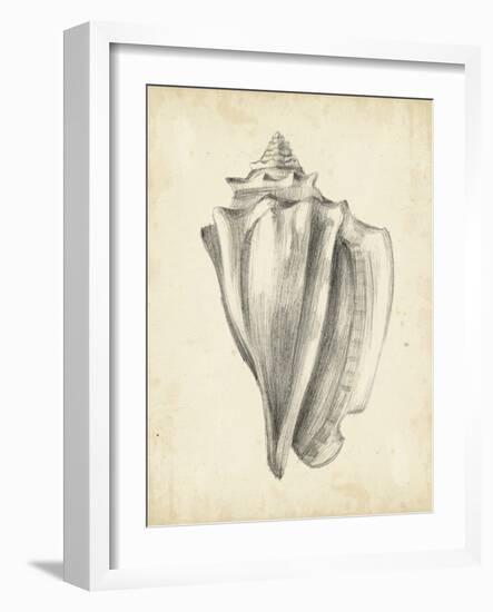 Antique Shell Study IV-Ethan Harper-Framed Art Print