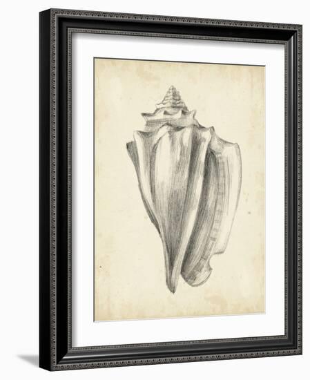 Antique Shell Study IV-Ethan Harper-Framed Art Print