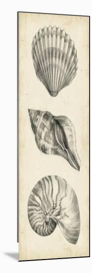 Antique Shell Study Panel I-Ethan Harper-Mounted Art Print