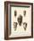 Antique Shells IV-Denis Diderot-Framed Art Print