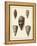 Antique Shells IV-Denis Diderot-Framed Stretched Canvas