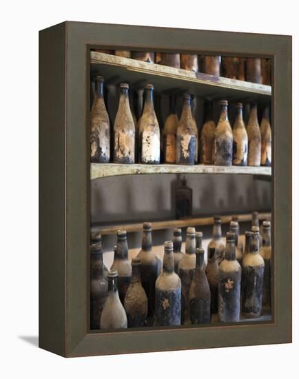 Antique Sherry Jars, Bodegas Gonzalez Byass, Jerez De La Frontera, Spain-Walter Bibikow-Framed Premier Image Canvas