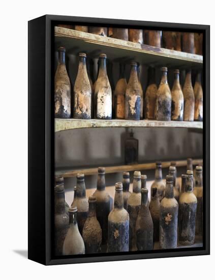Antique Sherry Jars, Bodegas Gonzalez Byass, Jerez De La Frontera, Spain-Walter Bibikow-Framed Premier Image Canvas