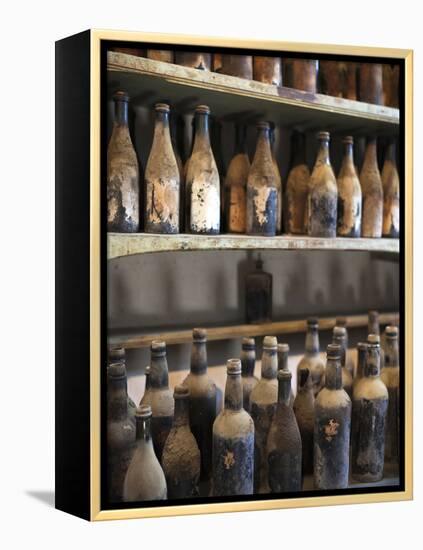 Antique Sherry Jars, Bodegas Gonzalez Byass, Jerez De La Frontera, Spain-Walter Bibikow-Framed Premier Image Canvas