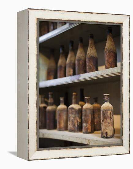 Antique Sherry Jars, Bodegas Gonzalez Byass, Jerez De La Frontera, Spain-Walter Bibikow-Framed Premier Image Canvas