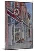 Antique Shop, Beacon, NY, 2004-Anthony Butera-Mounted Giclee Print