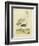 Antique Spoonbill and Sandpipers-Alexander Wilson-Framed Art Print