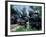 Antique Steam Locomotives, Elbe, Washington, USA-William Sutton-Framed Photographic Print