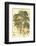 Antique Sycamore Tree-John Miller (Johann Sebastien Mueller)-Framed Art Print