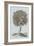 Antique Tree in Sepia I-Vision Studio-Framed Art Print