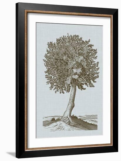 Antique Tree in Sepia I-Vision Studio-Framed Art Print