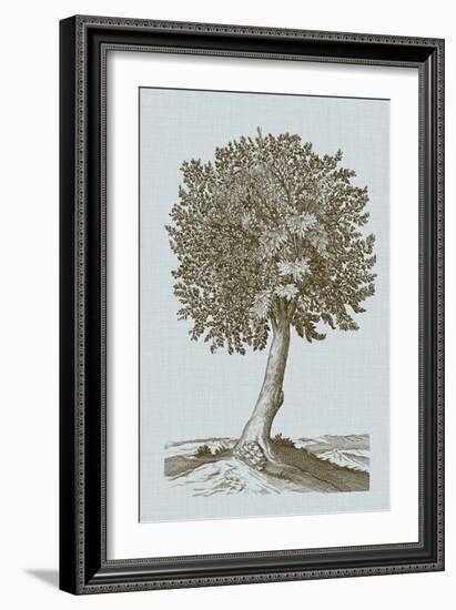 Antique Tree in Sepia I-Vision Studio-Framed Art Print