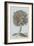 Antique Tree in Sepia I-Vision Studio-Framed Art Print