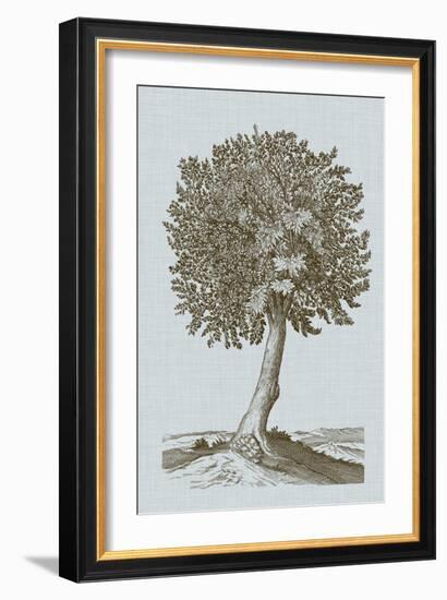 Antique Tree in Sepia I-Vision Studio-Framed Art Print