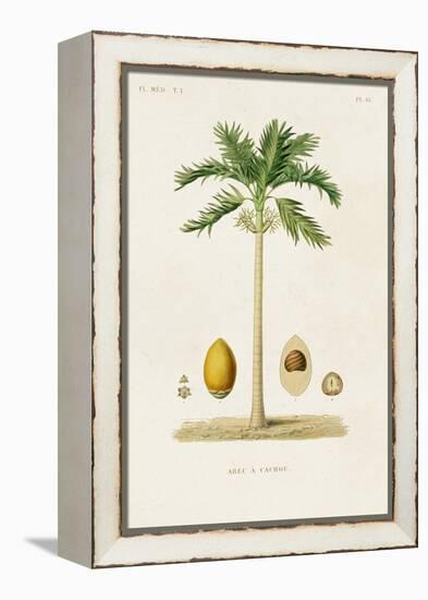 Antique Tree with Fruit II-Unknown-Framed Stretched Canvas