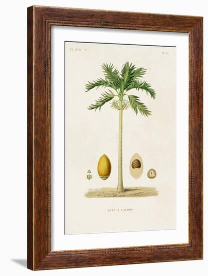 Antique Tree with Fruit II-Unknown-Framed Art Print