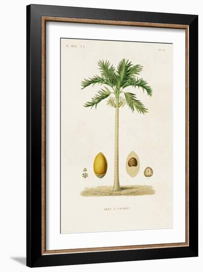 Antique Tree with Fruit II-Unknown-Framed Art Print