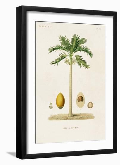 Antique Tree with Fruit II-Unknown-Framed Art Print