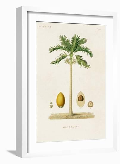 Antique Tree with Fruit II-Unknown-Framed Art Print