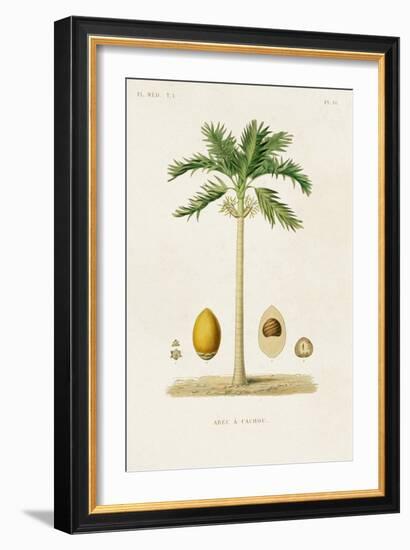 Antique Tree with Fruit II-Unknown-Framed Art Print