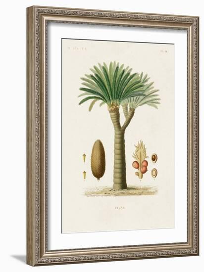 Antique Tree with Fruit V-Unknown-Framed Art Print