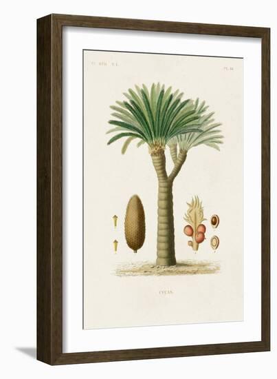 Antique Tree with Fruit V-Unknown-Framed Art Print