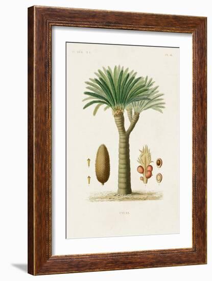 Antique Tree with Fruit V-Unknown-Framed Art Print