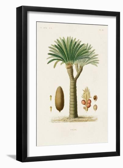 Antique Tree with Fruit V-Unknown-Framed Art Print