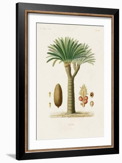 Antique Tree with Fruit V-Unknown-Framed Art Print