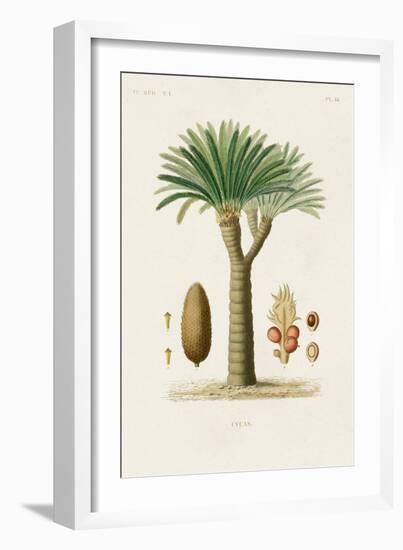 Antique Tree with Fruit V-Unknown-Framed Art Print