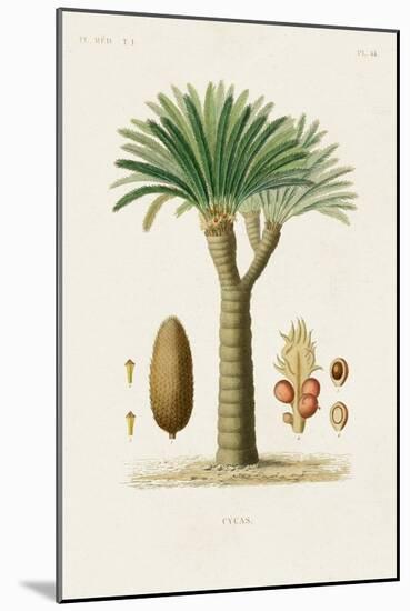 Antique Tree with Fruit V-Unknown-Mounted Art Print