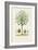 Antique Tree with Fruit VIII-Unknown-Framed Art Print