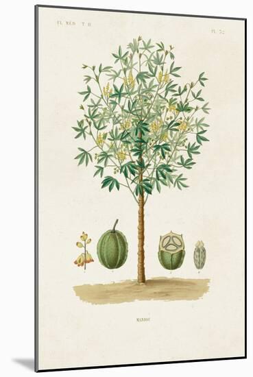 Antique Tree with Fruit VIII-Unknown-Mounted Art Print