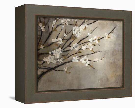 Antique Tree-Kari Taylor-Framed Premier Image Canvas