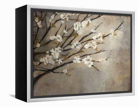 Antique Tree-Kari Taylor-Framed Premier Image Canvas