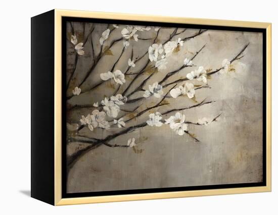 Antique Tree-Kari Taylor-Framed Premier Image Canvas